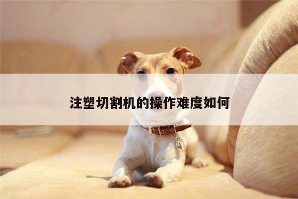 注塑切割机的操作难度如何-爱游戏(ayx)官方网站