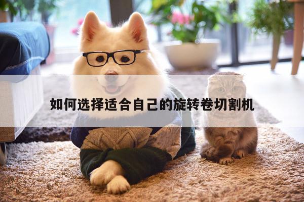 如何选择适合自己的旋转卷切割机：爱游戏app