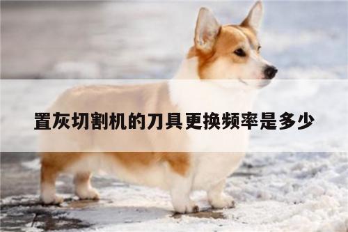 置灰切割机的刀具更换频率是多少-ayx爱游戏