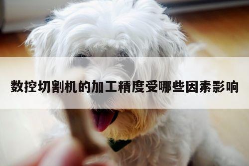 数控切割机的加工精度受哪些因素影响_爱游戏平台