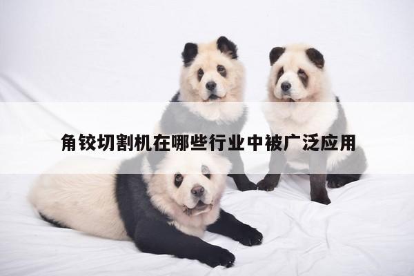 爱游戏app-角铰切割机在哪些行业中被广泛应用