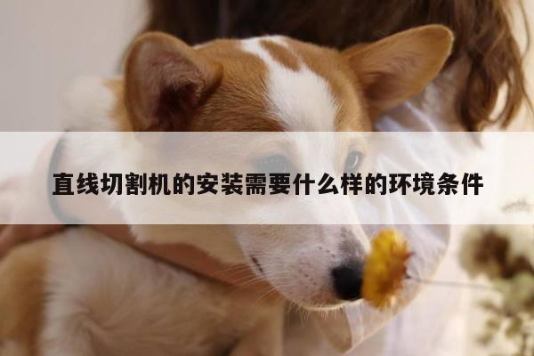 直线切割机的安装需要什么样的环境条件：爱游戏app