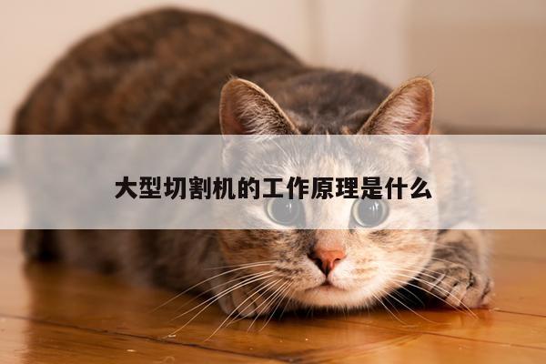 爱游戏(ayx)官方网站_大型切割机的工作原理是什么