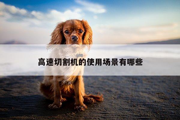 高速切割机的使用场景有哪些【爱游戏app】