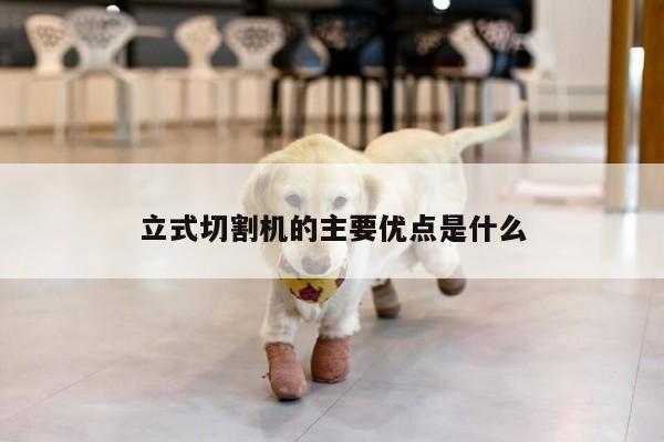 立式切割机的主要优点是什么：爱游戏(ayx)官方网站