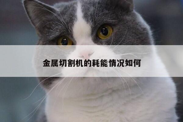 爱游戏app-金属切割机的耗能情况如何
