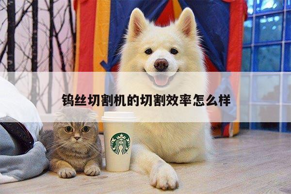 爱游戏(ayx)官方网站|钨丝切割机的切割效率怎么样