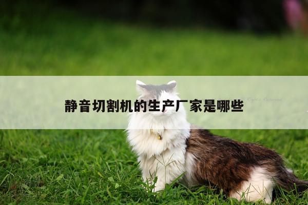 静音切割机的生产厂家是哪些【爱游戏(ayx)官方网站】