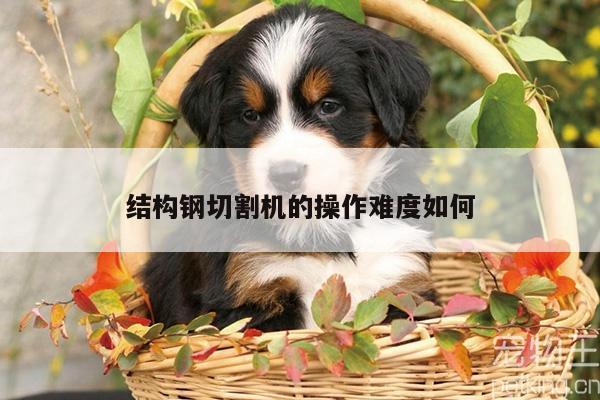 结构钢切割机的操作难度如何-爱游戏app