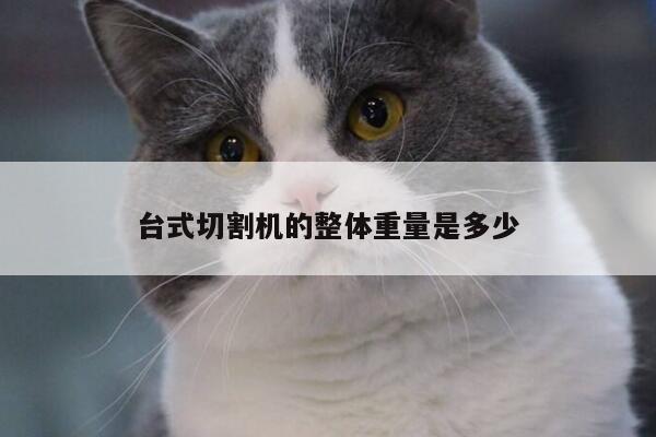 台式切割机的整体重量是多少-爱游戏(ayx)官方网站