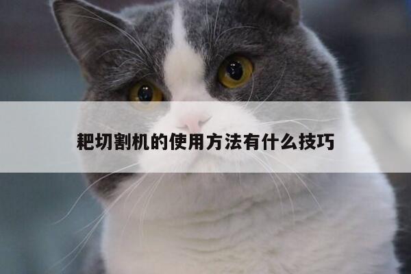 爱游戏平台-耙切割机的使用方法有什么技巧