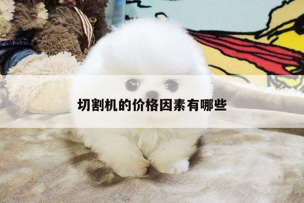切割机的价格因素有哪些|ayx爱游戏