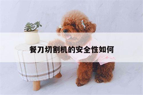餐刀切割机的安全性如何【ayx爱游戏】