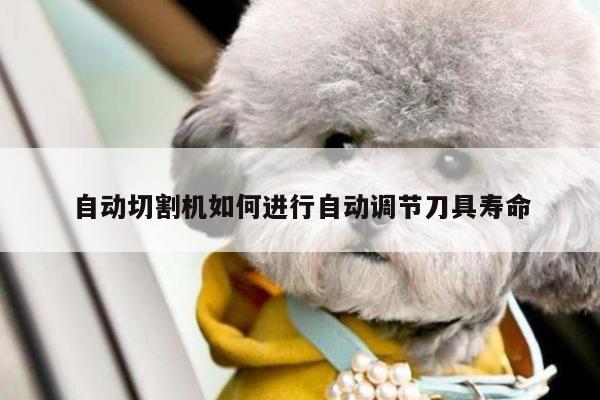 自动切割机如何进行自动调节刀具寿命【爱游戏(ayx)官方网站】