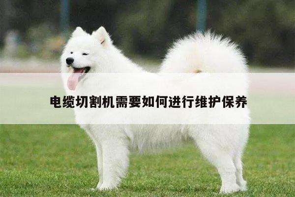 电缆切割机需要如何进行维护保养|爱游戏平台
