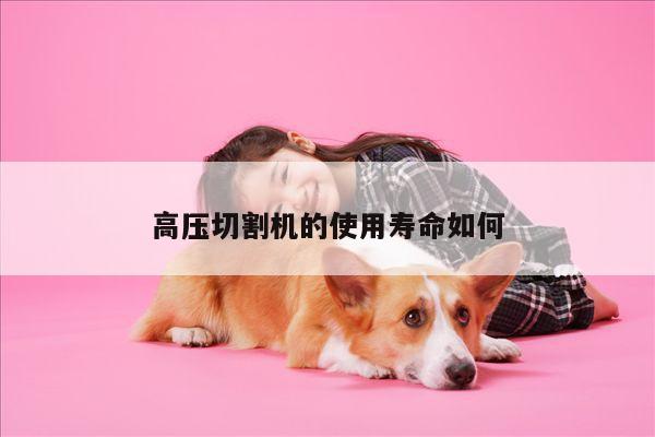 【ayx爱游戏】高压切割机的使用寿命如何