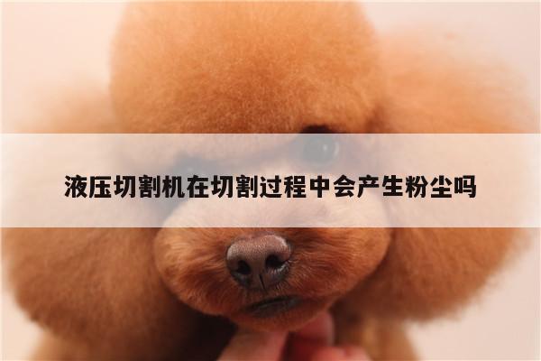 爱游戏app_液压切割机在切割过程中会产生粉尘吗