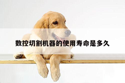 爱游戏平台|数控切割机器的使用寿命是多久