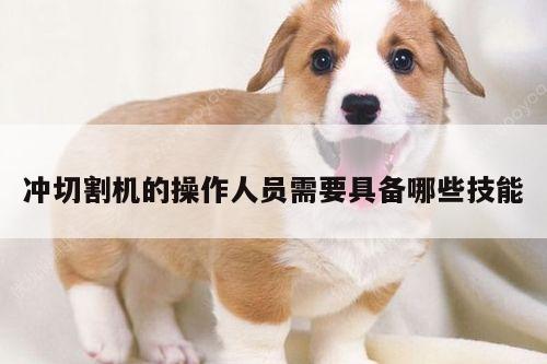 爱游戏app：冲切割机的操作人员需要具备哪些技能