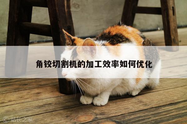 角铰切割机的加工效率如何优化|爱游戏平台