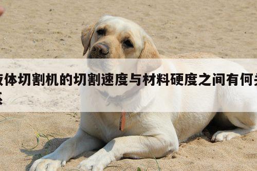 【爱游戏(ayx)官方网站】液体切割机的切割速度与材料硬度之间有何关系
