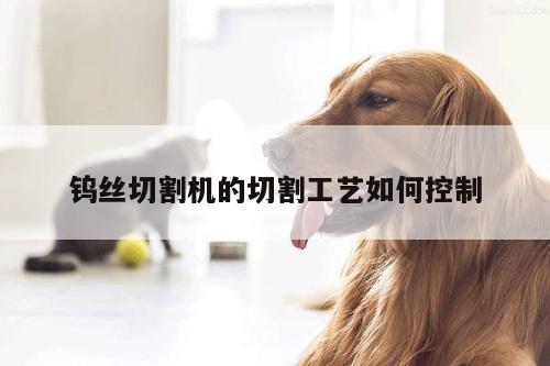 ayx爱游戏：钨丝切割机的切割工艺如何控制