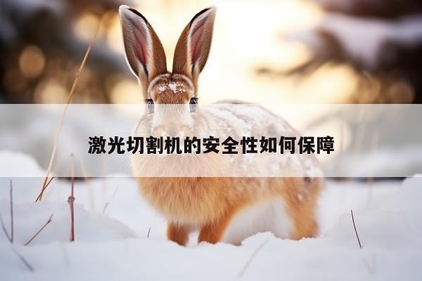 激光切割机的安全性如何保障-爱游戏app