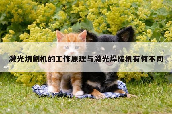 激光切割机的工作原理与激光焊接机有何不同_ayx爱游戏