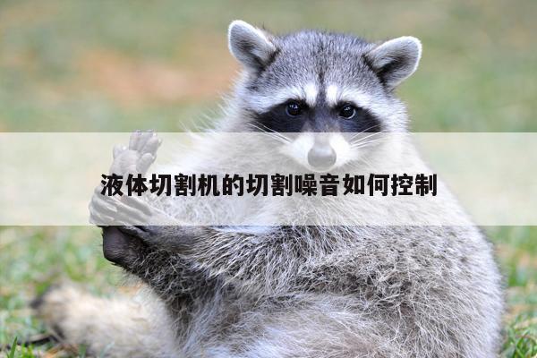 液体切割机的切割噪音如何控制_ayx爱游戏