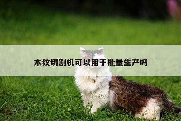 爱游戏app-木纹切割机可以用于批量生产吗