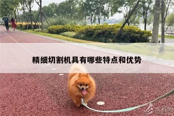 【爱游戏(ayx)官方网站】精细切割机具有哪些特点和优势