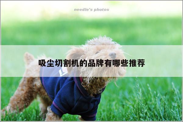 【爱游戏(ayx)官方网站】吸尘切割机的品牌有哪些推荐