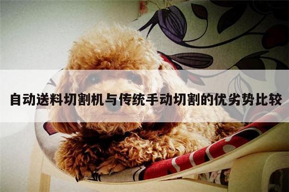 自动送料切割机与传统手动切割的优劣势比较【ayx爱游戏】