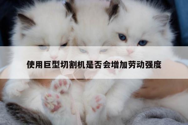 爱游戏(ayx)官方网站：使用巨型切割机是否会增加劳动强度