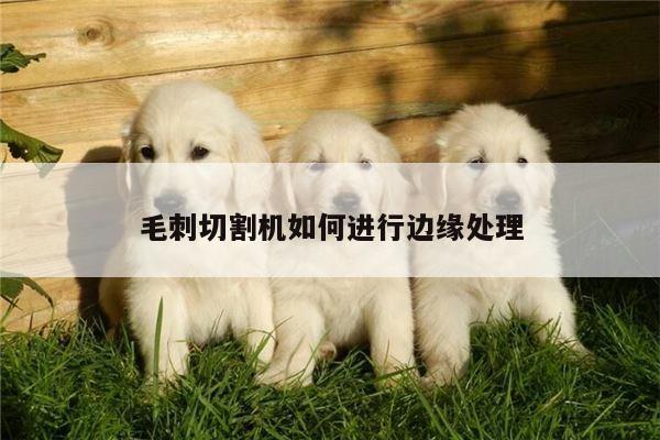 ayx爱游戏-毛刺切割机如何进行边缘处理