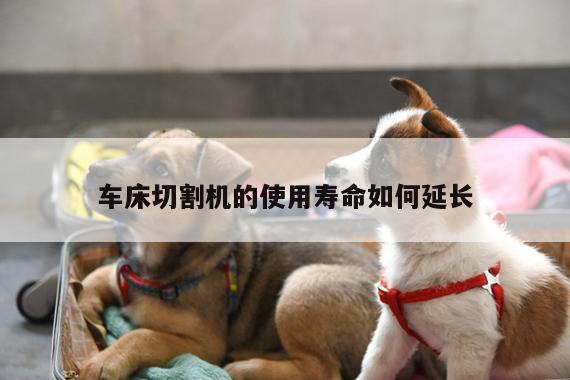 【ayx爱游戏】车床切割机的使用寿命如何延长