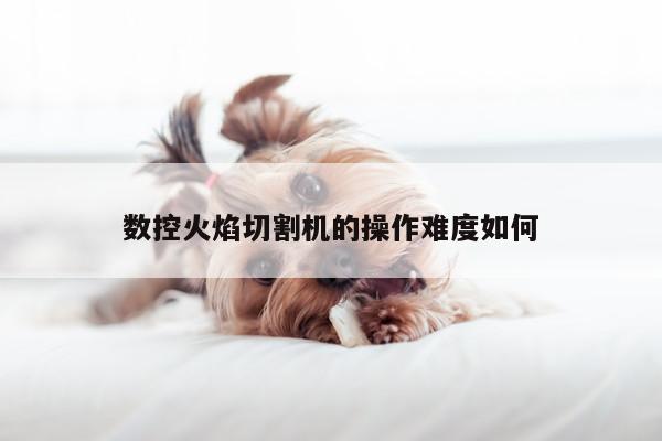 爱游戏app：数控火焰切割机的操作难度如何