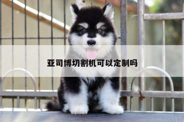 亚司博切割机可以定制吗|爱游戏(ayx)官方网站