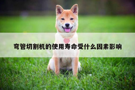 弯管切割机的使用寿命受什么因素影响-爱游戏(ayx)官方网站