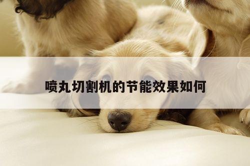 喷丸切割机的节能效果如何|爱游戏app