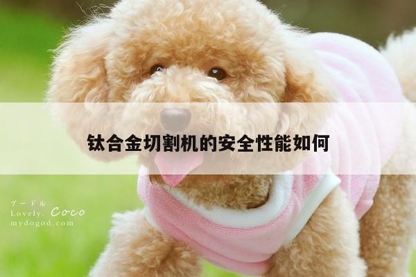 爱游戏app|钛合金切割机的安全性能如何