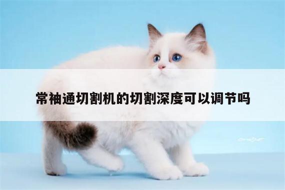 【爱游戏(ayx)官方网站】常袖通切割机的切割深度可以调节吗