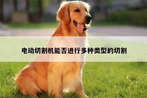 电动切割机能否进行多种类型的切割：ayx爱游戏
