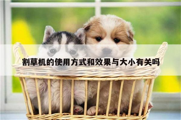 爱游戏(ayx)官方网站-割草机的使用方式和效果与大小有关吗