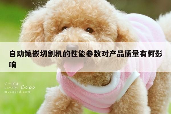 爱游戏平台-自动镶嵌切割机的性能参数对产品质量有何影响