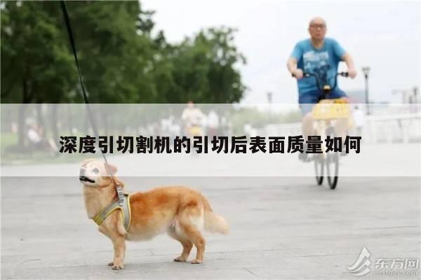 深度引切割机的引切后表面质量如何-爱游戏(ayx)官方网站