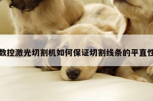 数控激光切割机如何保证切割线条的平直性|ayx爱游戏