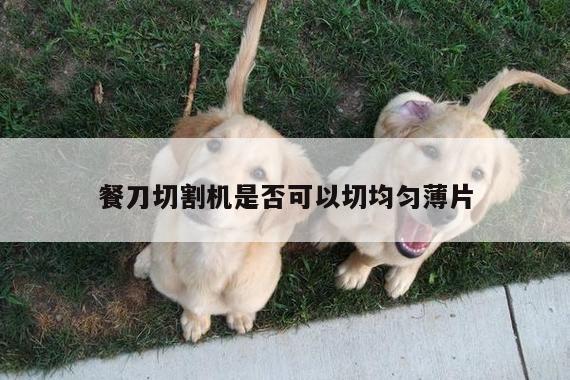 爱游戏app|餐刀切割机是否可以切均匀薄片