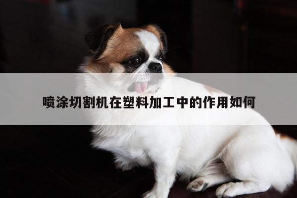 喷涂切割机在塑料加工中的作用如何-爱游戏app