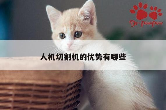ayx爱游戏：人机切割机的优势有哪些